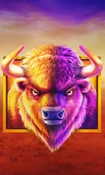 Buffalo King